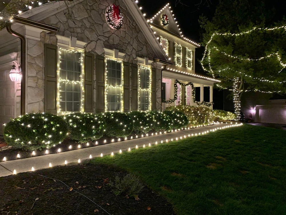 Light Your Night - Walkway and Bushes
