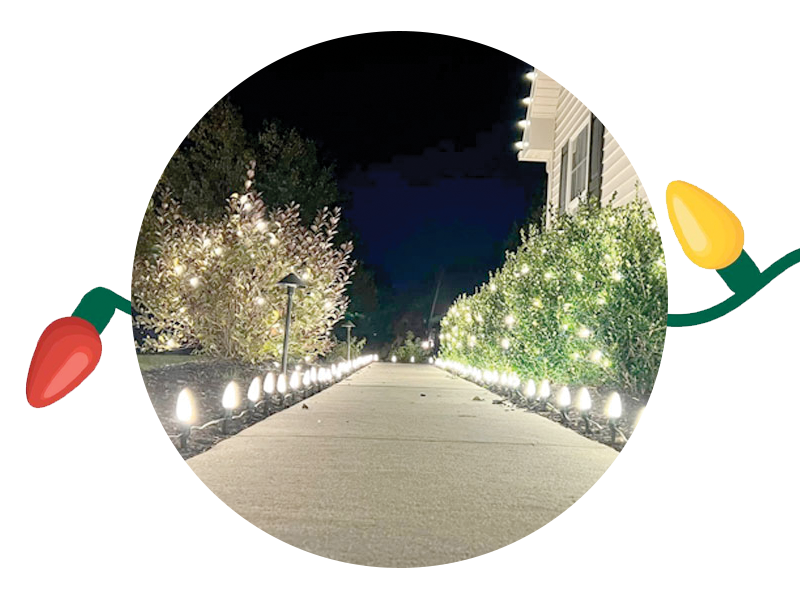 Circular image of a sidewalk at night, bordered by a house on the right and lush greenery on the left. Both sides of the path are lined with white, glowing holiday lights, creating a festive atmosphere. The edge of the circle is adorned with colorful lights, highlighting the pristine appearance after SUDS Power Washing.