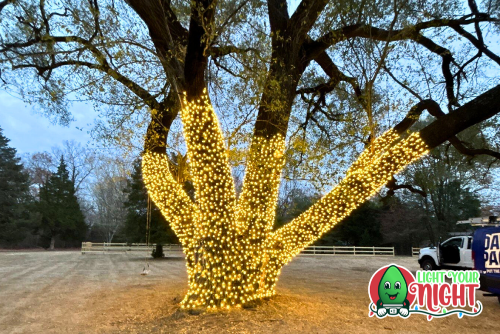 A large tree wrapped in numerous bright yellow fairy lights stands in an open field. The lights illuminate the trunk and branches, creating a glowing effect. In the background, there are trees, a fence, and a van. The "Light Your Night" logo is visible.